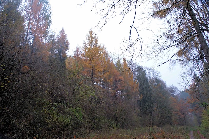 Peter Blei unterwegs im Urwald