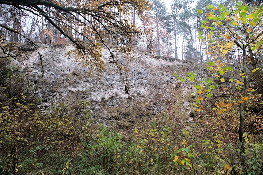 Peter Blei unterwegs im Urwald