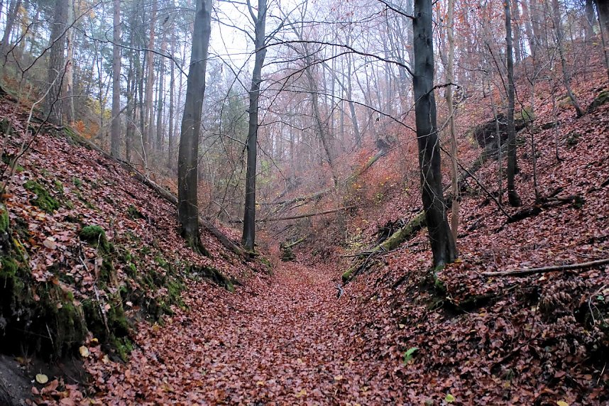 Peter Blei unterwegs im Urwald