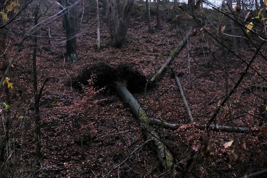 Peter Blei unterwegs im Urwald