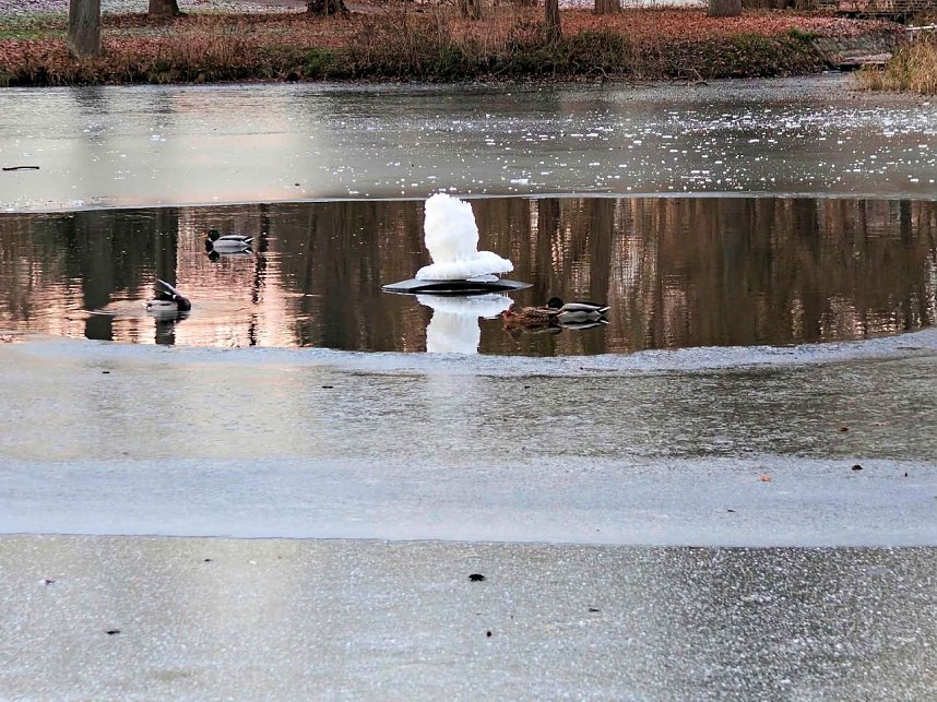 Eis und Frost im Stadtpark