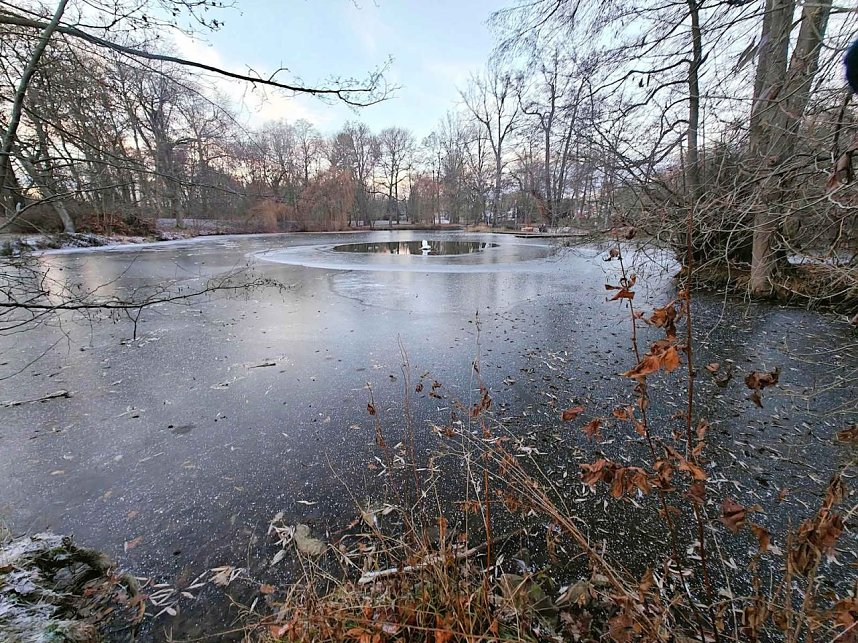 Eis und Frost im Stadtpark