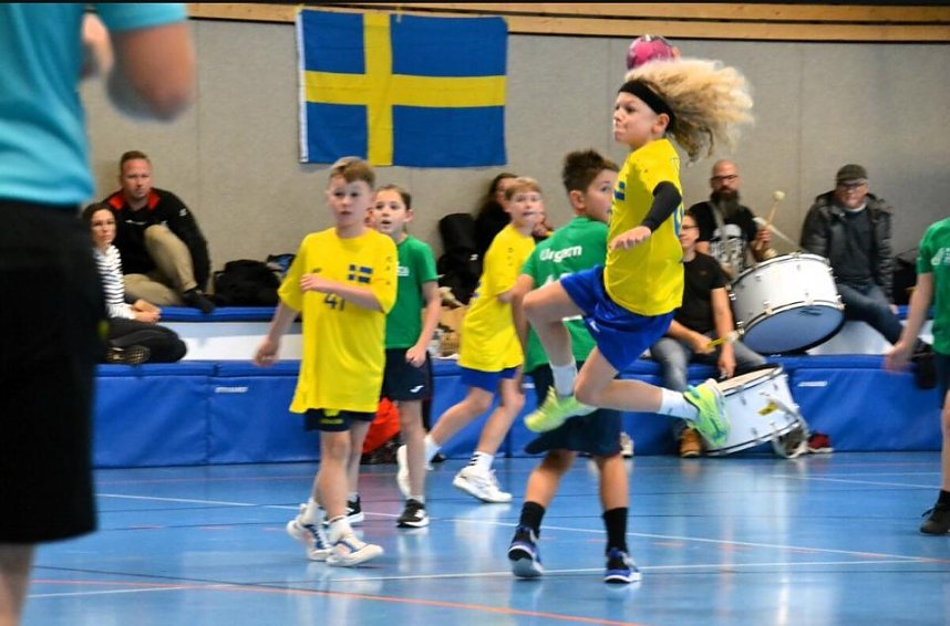 Handball Mini-WM