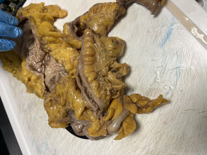 Praixs Besuch in der Pathologie des S&uuml;dharz Klinikums