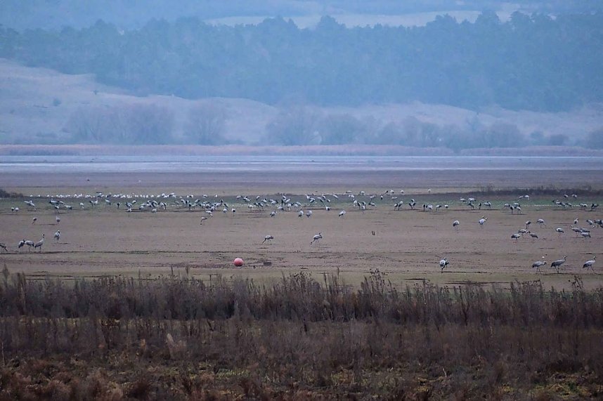 Peter Blei am Stausee Kelbra