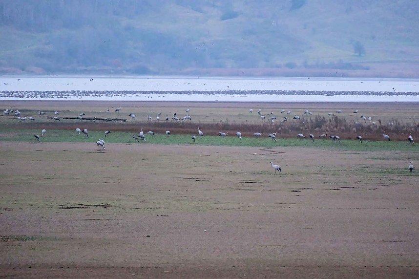 Peter Blei am Stausee Kelbra