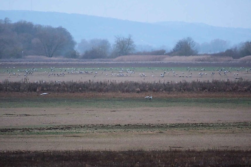 Peter Blei am Stausee Kelbra