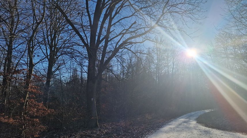 Winterwanderung am Kyffh&auml;user