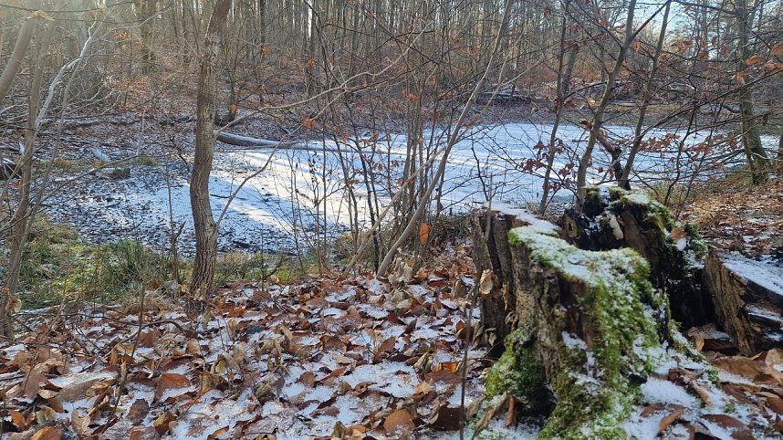 Winterwanderung am Kyffh&auml;user