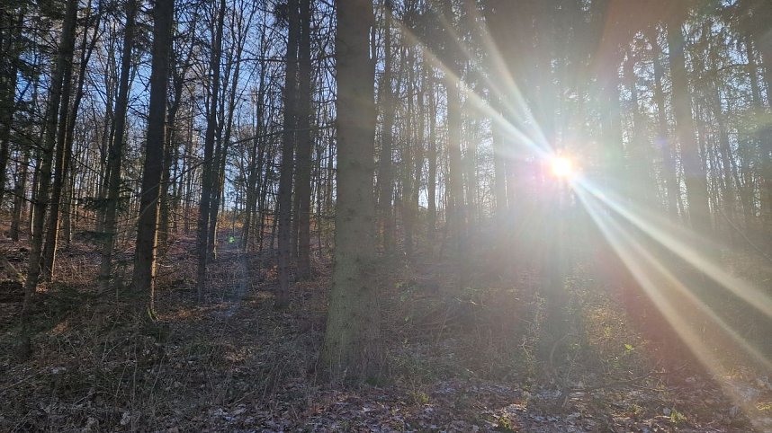 Winterwanderung am Kyffh&auml;user