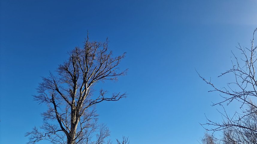 Winterwanderung am Kyffh&auml;user