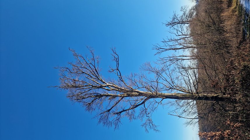 Winterwanderung am Kyffh&auml;user