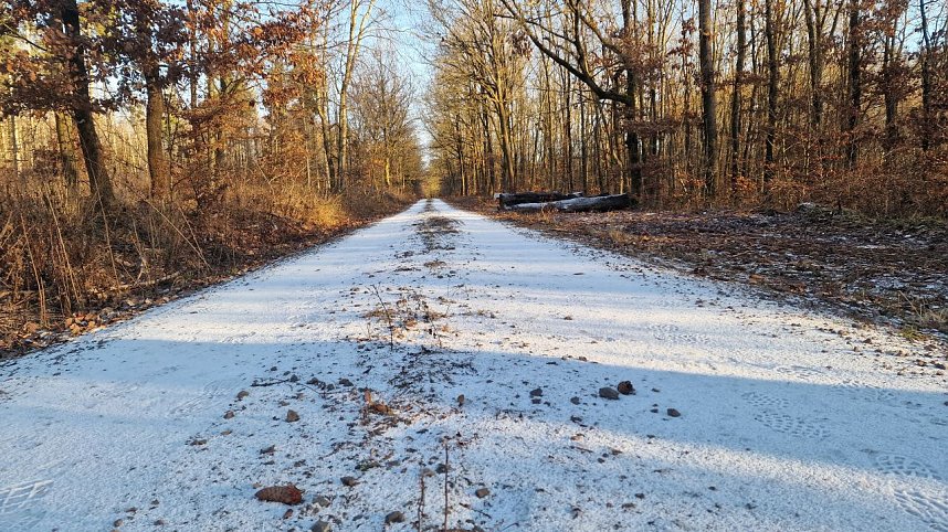 Winterwanderung am Kyffh&auml;user