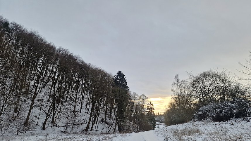 Winterwanderung in der Windl&uuml;cke