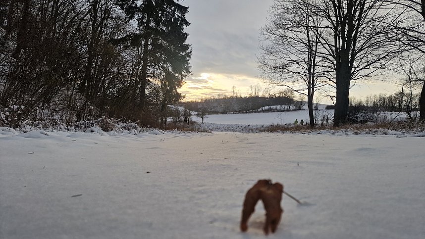 Winterwanderung in der Windl&uuml;cke