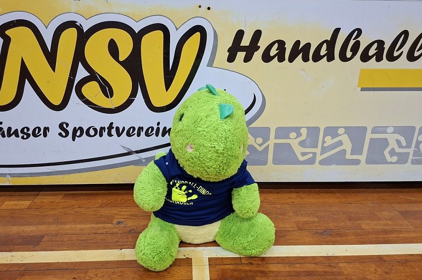 Handball-Nachwuchs am Wochenende