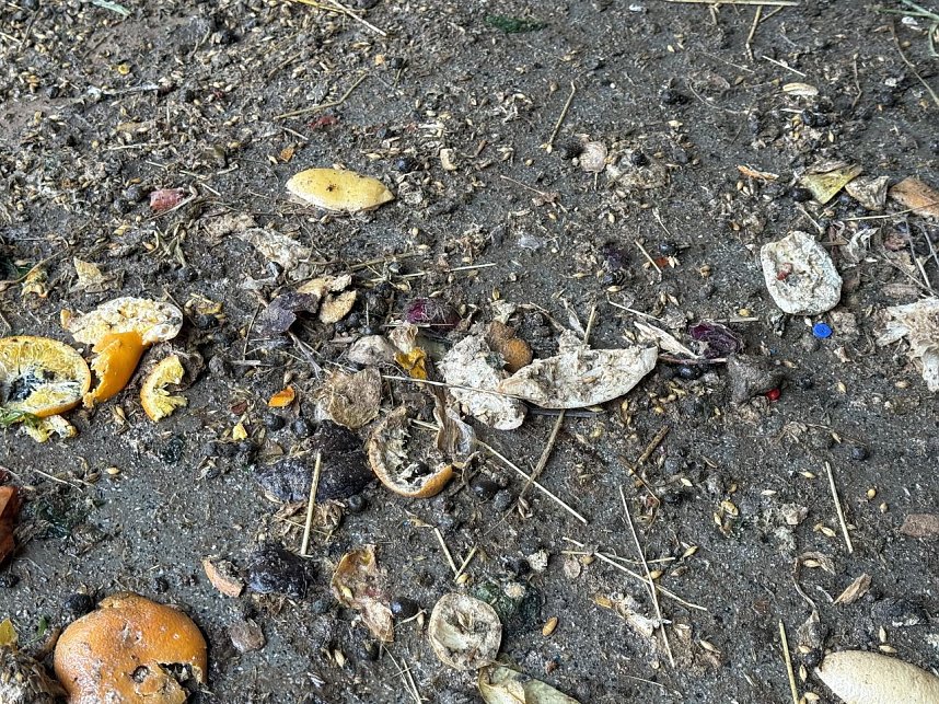 Eine Tierhaltung im Landkreis Nordhausen wurde aufgel&ouml;st.