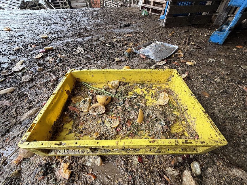 Eine Tierhaltung im Landkreis Nordhausen wurde aufgel&ouml;st.