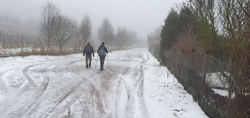 Die Wanderer erreichten den S-Bahnhof in Halle-Neustadt.