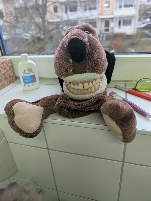 Tag der Zahngesundheit an der Grundschule Montessori