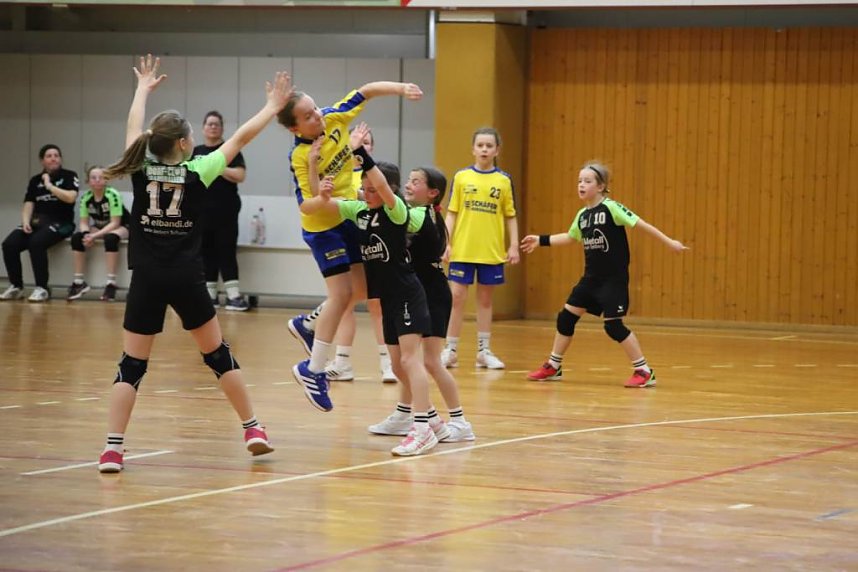 Handball-Ergebnisdienst