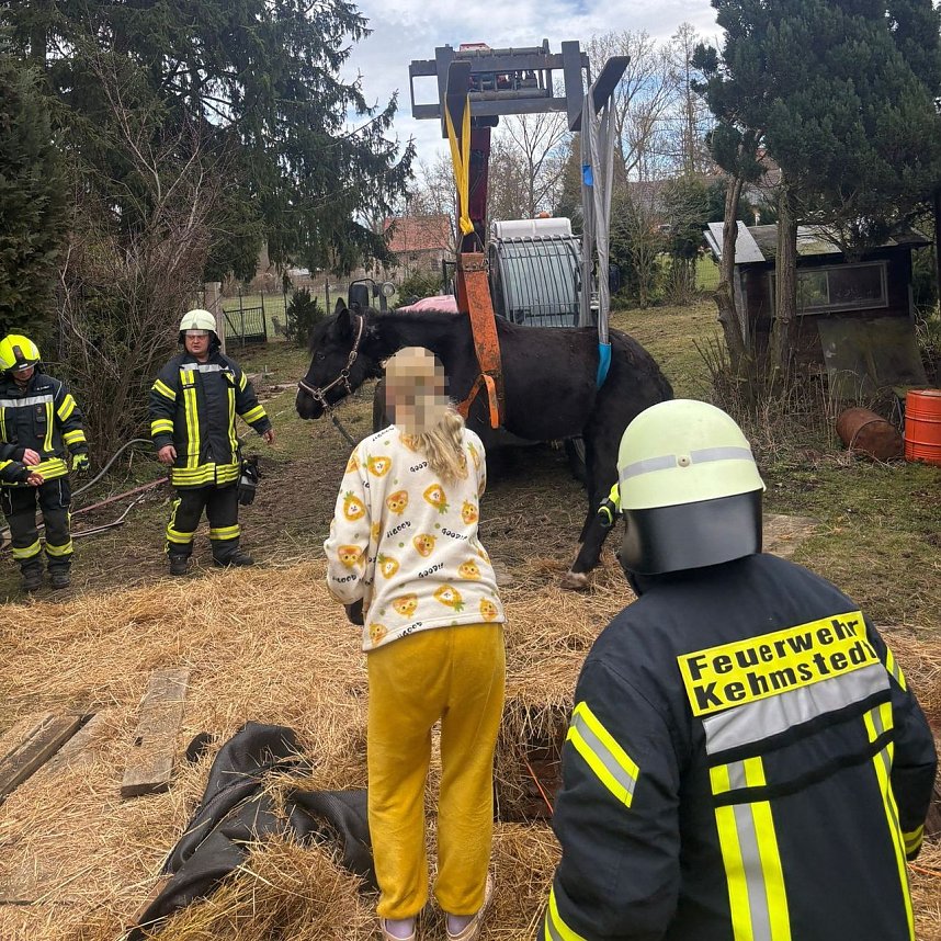 Das Pferd war in eine fr&uuml;here, jetzt leere, G&uuml;llegrube gerutscht.
