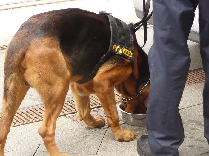 Suche nach dem vermissten Kind