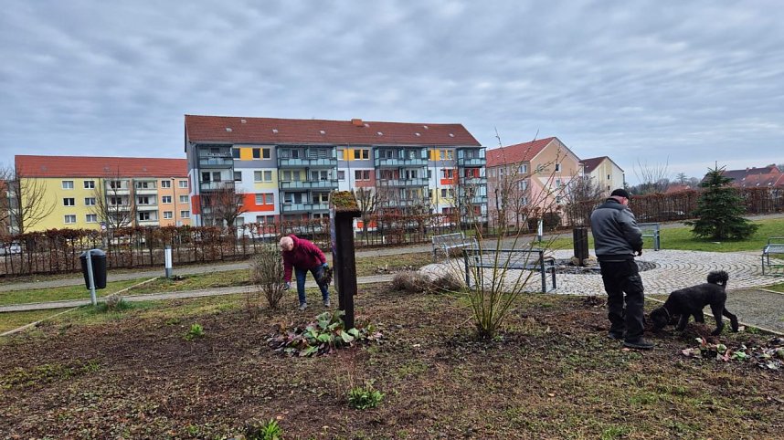 Arbeitseinsatz im Bleichpark