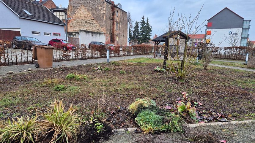 Arbeitseinsatz im Bleichpark