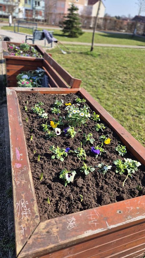 Arbeitseinsatz im Bleichpark