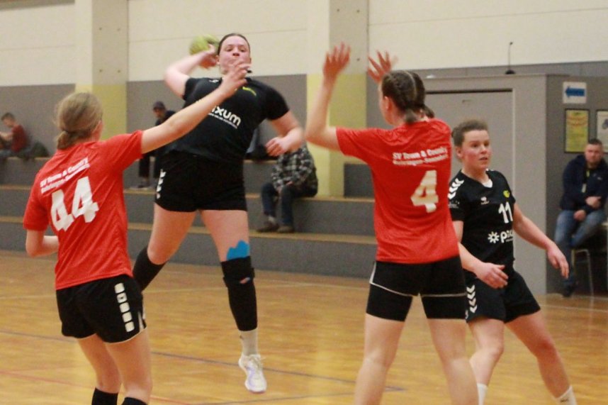 F&uuml;r die Handball-Damen des NSV hielt das Wochenende vor allem Frust bereit