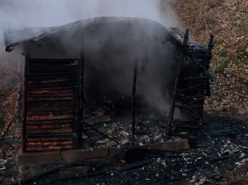 Die H&uuml;tte stand beim Eintreffen der Wehren in Vollbrand.