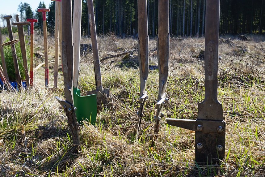 Bei der Baumpflanzaktion bei Rothes&uuml;tte halfen auch viele Familien mit. 