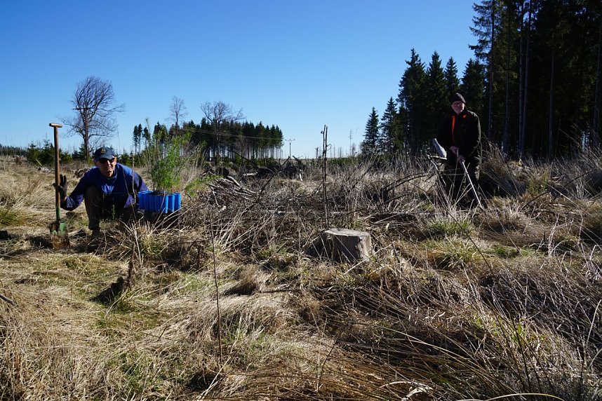 Bei der Baumpflanzaktion bei Rothes&uuml;tte halfen auch viele Familien mit. 