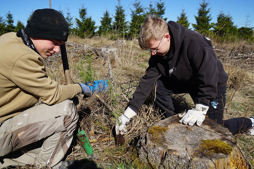 Bei der Baumpflanzaktion bei Rothes&uuml;tte halfen auch viele Familien mit. 
