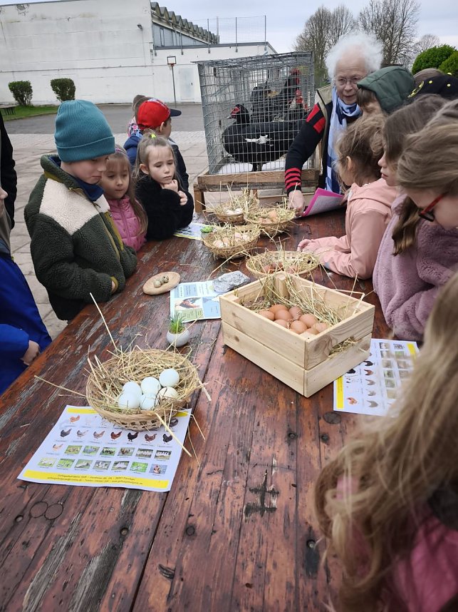 Ferientag mit den Urbacher Kleintierz&uuml;chtern