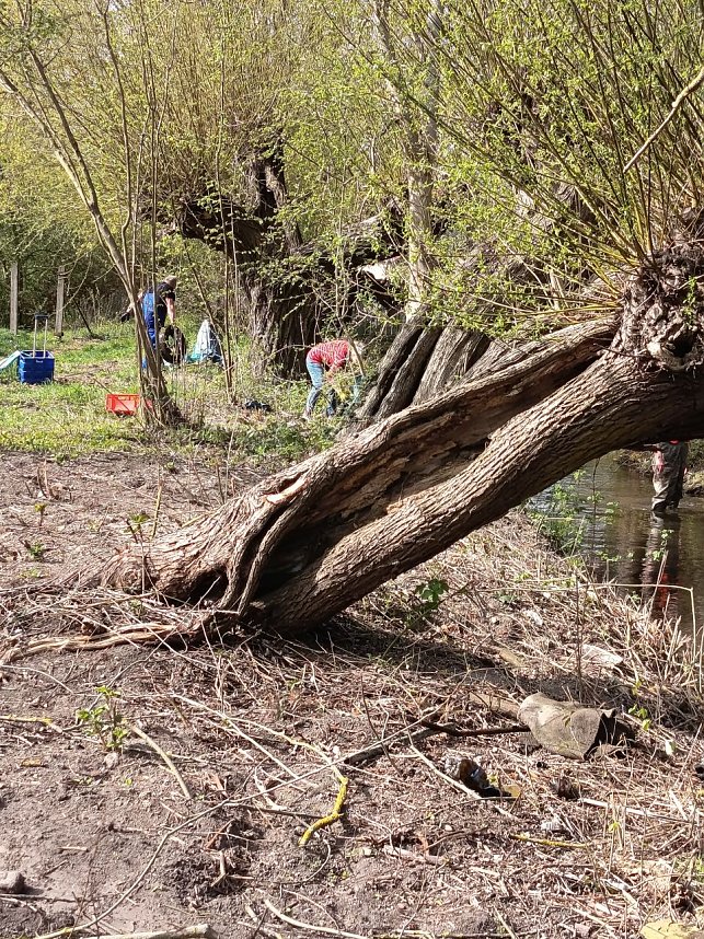 Fr&uuml;hjahrsputz in Niedersalza