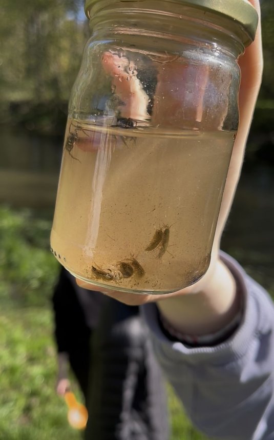 Was so in der Zorge schwimmt.