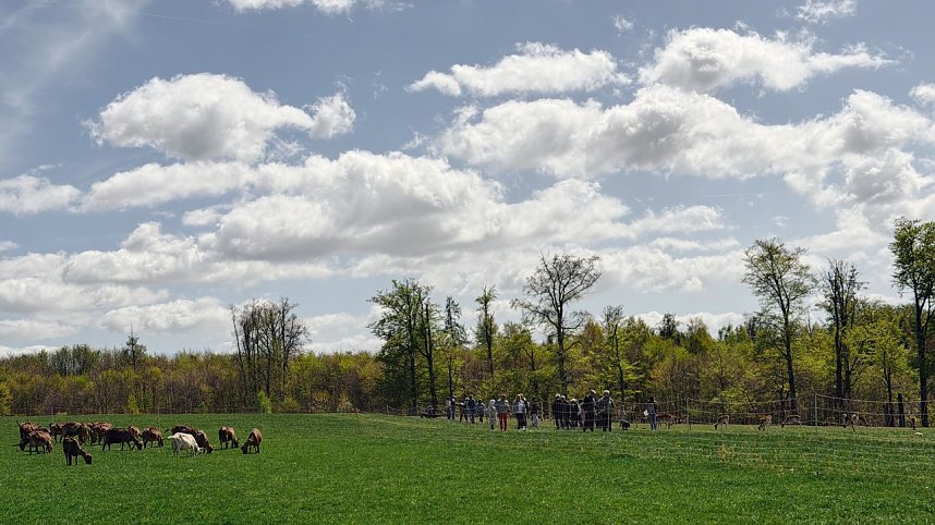L&auml;mmerfest auf der Ziegenalm Sophienhof