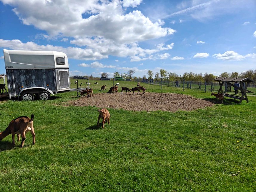 Impressionen vom L&auml;mmerfest in Sophienhof.