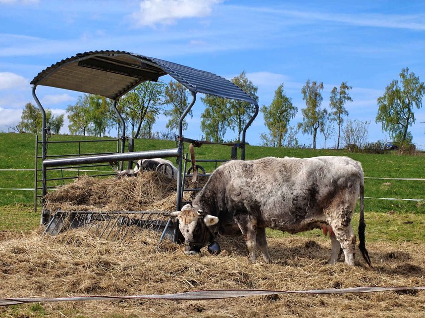 Impressionen vom L&auml;mmerfest in Sophienhof.