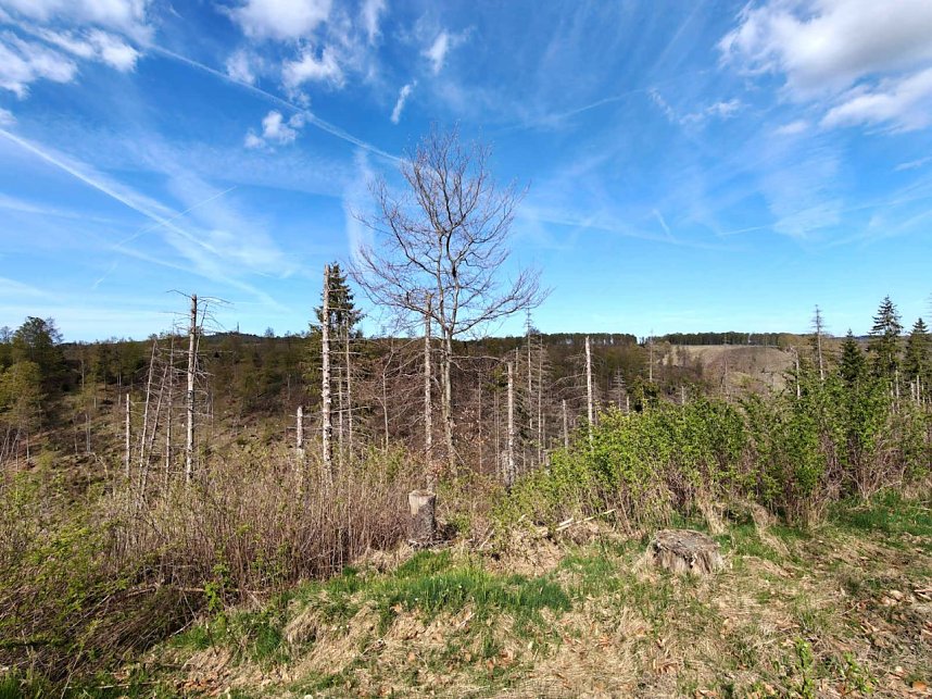 Impressionen vom L&auml;mmerfest in Sophienhof.