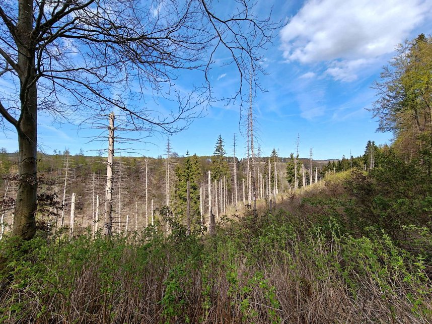 Impressionen vom L&auml;mmerfest in Sophienhof.