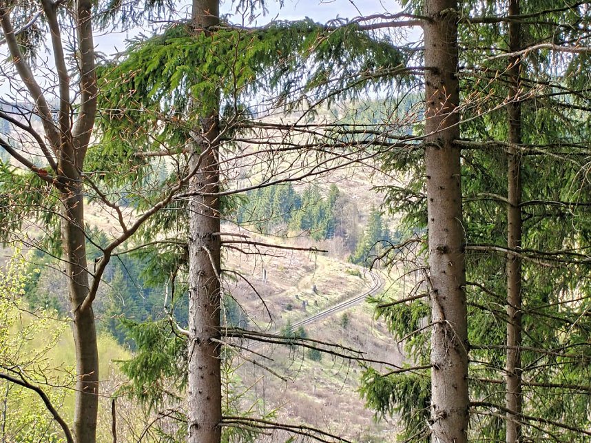 Impressionen vom L&auml;mmerfest in Sophienhof.