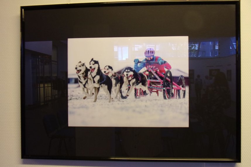 Impressionen zur Ausstellung Bewegende Momente � Eine Reise in Bildern in der Kreissparkasse Nordhausen