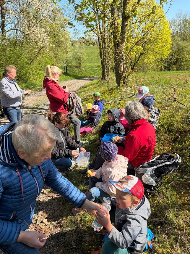 Fr&uuml;hling bei den Klettenberger Burgspatzen
