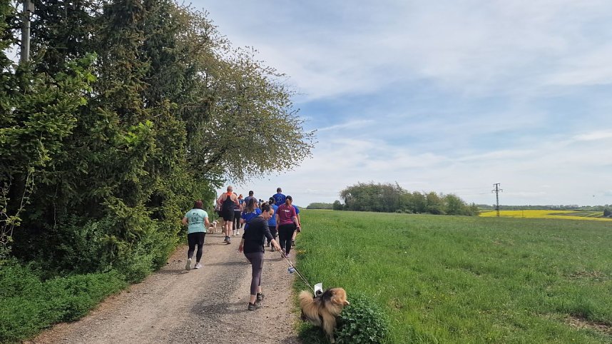 Auf zum Harztorlauf - die nnz war auf der 5 Kilometer Strecke mit am Start