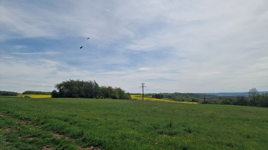 Auf zum Harztorlauf - die nnz war auf der 5 Kilometer Strecke mit am Start