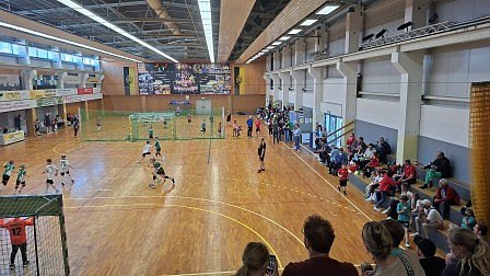 Handball der Spitzenklasse in der Ballspielhalle.