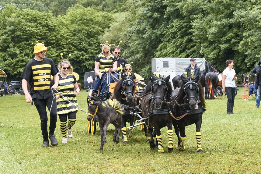 Die traditionelle W&uuml;lfinger&ouml;der Ponyschau kehrt im Juni zur&uuml;ck